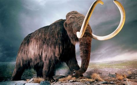 20 Animales prehistoricos gigantes parte 1 | Mamuts, Animales ...