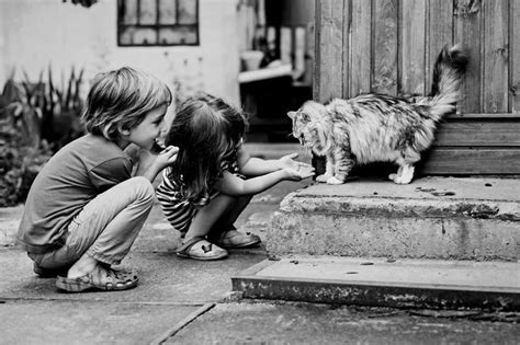 20+ Heartwarming Photos Of Kids Playing With Their Cats ...