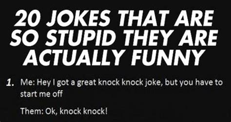 20 Jokes That Are So Stupid They Are Actually Funny