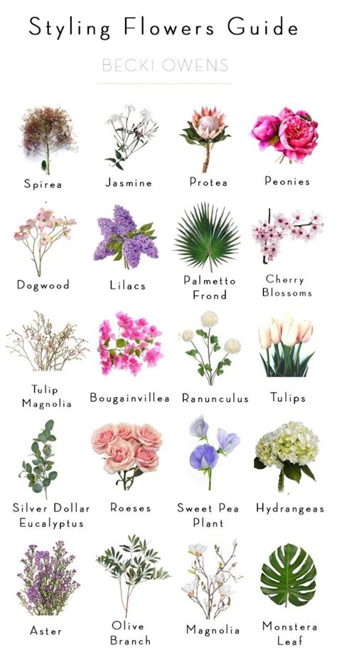 20 of Our Favorite Styling FlowersBECKI OWENS | Flower names, Flower ...