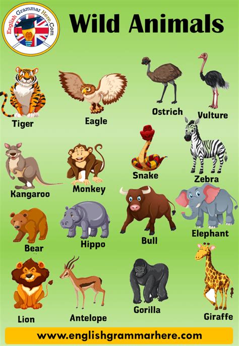20 Wild Animals Name, 20 Different Animals and Example Sentences ...