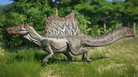 2020 Spinosaurus Aegyptiacus  Scientifically Accurate  at ...