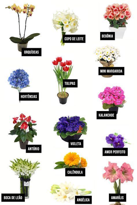 22 Flores para Casa e para Decoração | Flores internas, Tipos de flores ...