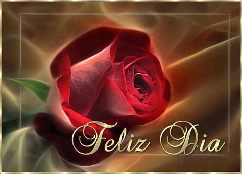 23 Imágenes de rosas rojas con frases de amor romanticas
