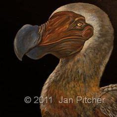 230 ideas de Dodo Bird | pajaro dodo, animales extintos, extintos