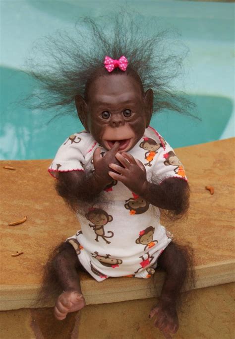 232 best Monkey Business images on Pinterest