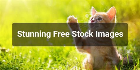 25 Brilliant Websites With Free Stock Images For ...