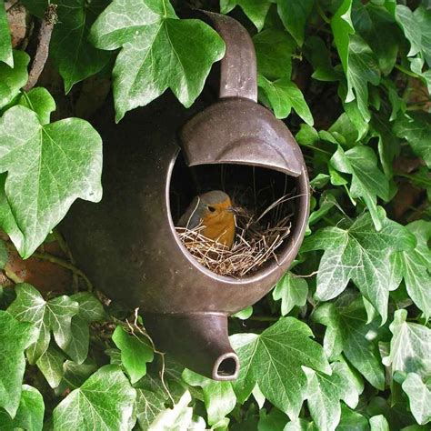 25 nidos de aves hechos en los lugares más raros e insólitos