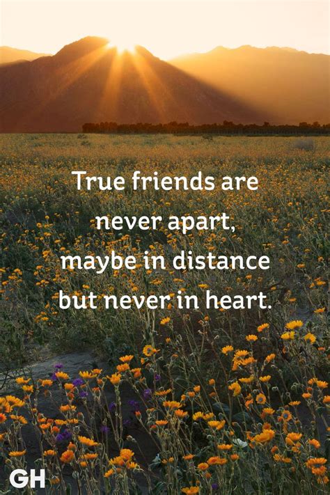 25 Short Friendship Quotes to Share With Your Best Friend ...