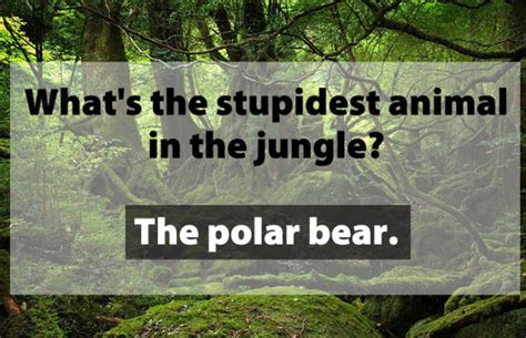 25 Stupid Jokes That Are So Dumb, They re Actually Funny ...