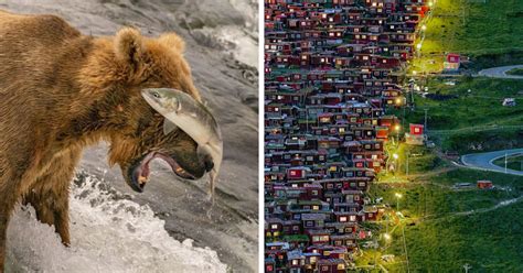 26 Breathtaking Winning Pictures Of This Year s National Geographic s ...