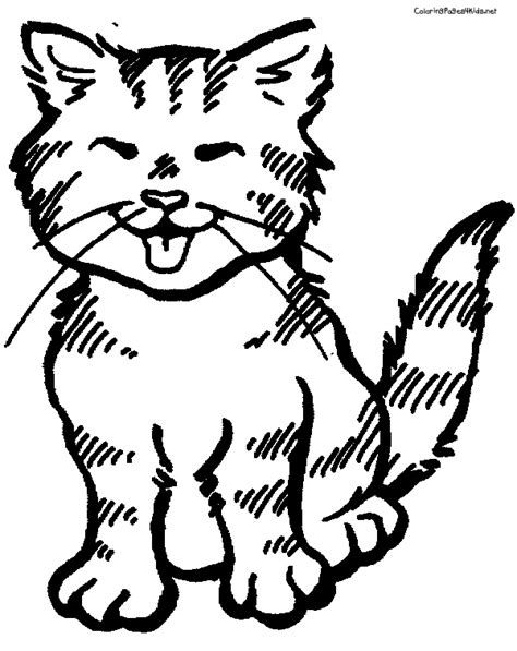 260 dibujos de Gatos para colorear | Oh Kids | Page 12