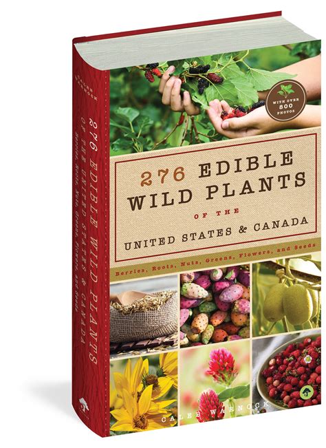 276 Edible Wild Plants of the United States and Canada