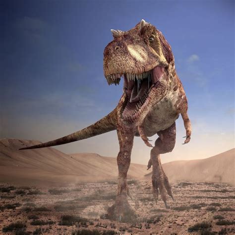 28 best images about DINOSAURES P5 on Pinterest | More ...