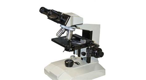 3 Different Types of Microscopes and their Uses   HowFlux