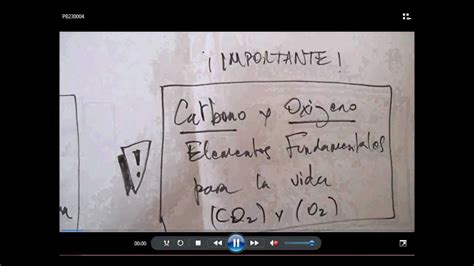 3° Importancia CO2 y O2   YouTube