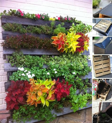 30 Ideas creativas con plantas para decorar tu hogar y jardín