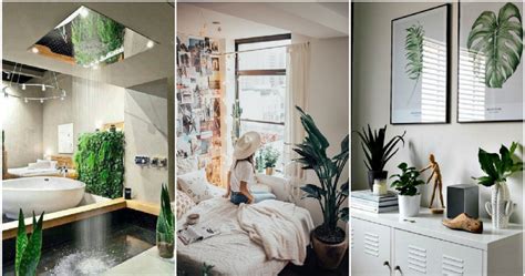 30 ideas para decorar tu habitación con plantas | Plantas
