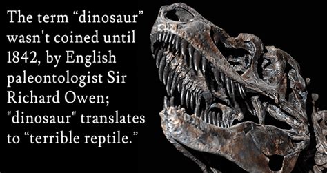 31 Dinosaur Facts And Images That Will Blow Your Mind