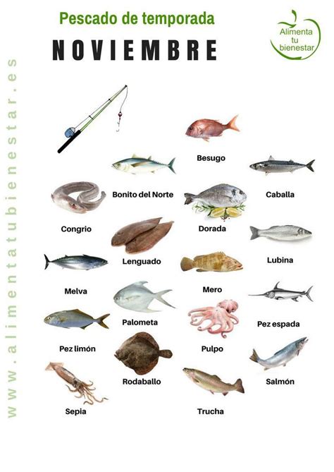 35 best Pescado | Fish images on Pinterest | Learning ...