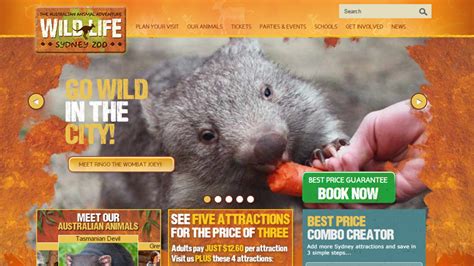 35 Inspiring Website Designs for Zoos and Aquariums