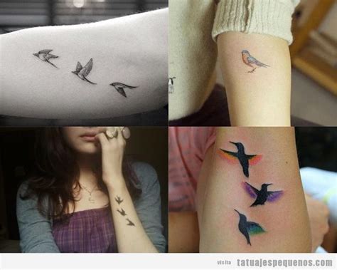 + 35 Tatuajes pequeños de pájaros que vuelan sobre tu piel ...