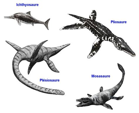 37 imágenes de dinosaurios: Infografías e imágenes para consultar y ...