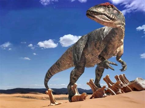 37 imágenes de dinosaurios: Infografías e imágenes para ...