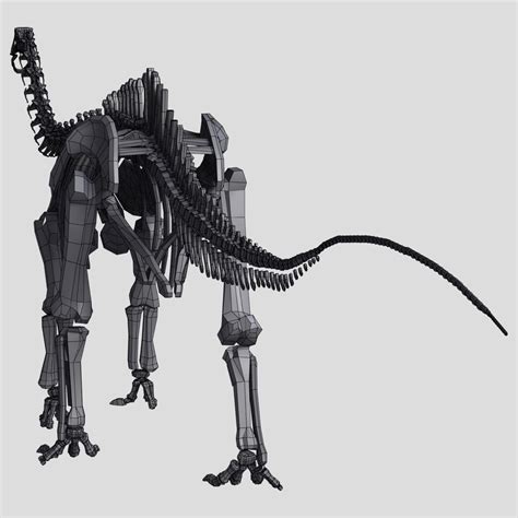 3d dino skeleton diplodocus bones
