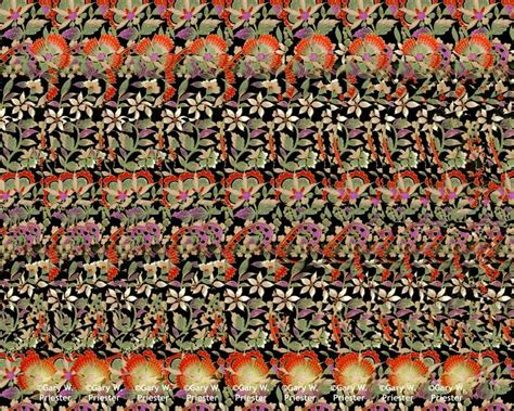 3d hidden pictures | Paisley Flowers : Stereogram Images, Games, Video ...