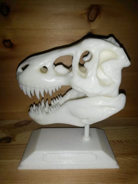3D Printed Tyrannosaurus Rex T rex skull | Etsy, Hecho a mano, Regalos ...