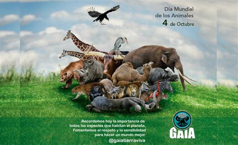4 de Octubre   Día Mundial de los Animales   GAIA TIERRA VIVA