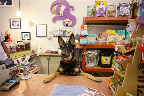 4 Reasons to Work at A Pet Store While in College