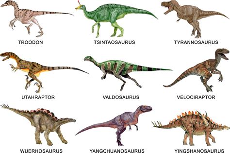 4. Tipos de Dinosaurios DINOSAURIOS
