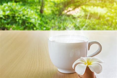 4 Tipos de tés para que baje la regla   Tua Saúde