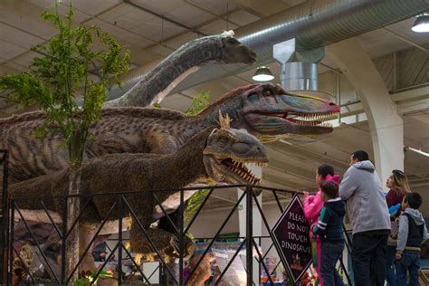 4 Useful Tips for Developing a Theme Park | MY DINOSAURS