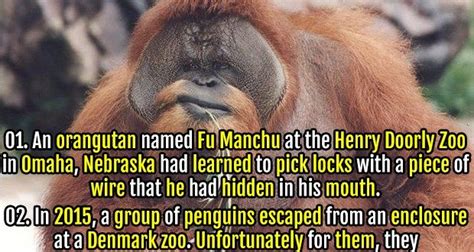 40 Adorable & Terrifying Facts about Zoo Animals ...