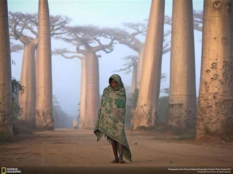 40 Fotos Impresionantes De National Geographic   Imágenes   Taringa!