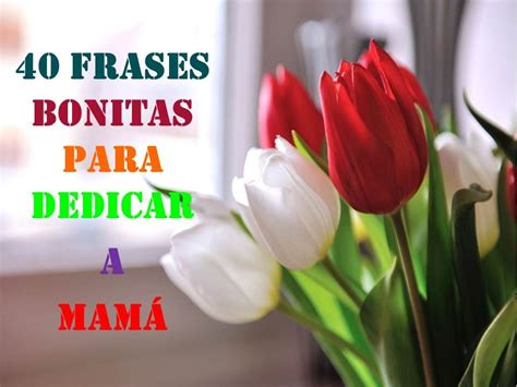 40 FRASES BONITAS PARA DEDICAR A MAMA – FELIZ DIA MAMITA ...