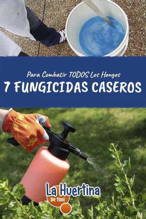 42 ideas de Fungicidas caseros | fungicidas caseros, plagas en las ...