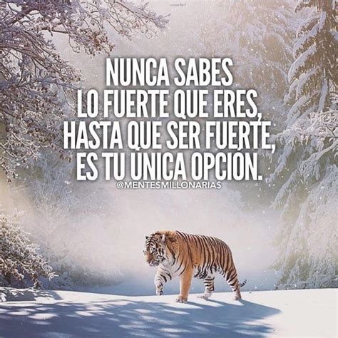 45 imagenes con frases lindas para reflexionar sobre la vida | Imágenes ...