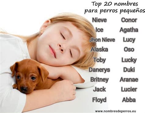 +450 Nombres para Perros Pequeños | Para Machos y Hembras