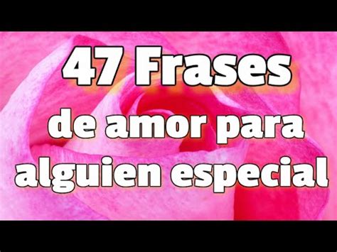 47 Frases De Amor Para Alguien Especial   Dedica estas ...