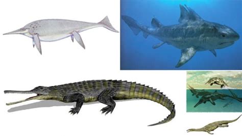 5 animales acuáticos espectaculares de la época de los dinosaurios ...