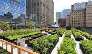 5 Benefits of Urban Farming