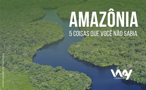 5 coisas que você não sabia sobre a Amazônia