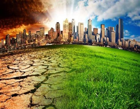 5 consecuencias del cambio climático