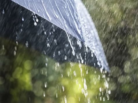 5 cosas sorprendentes sobre la lluvia que la mayoría de la gente ...