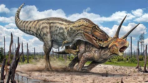 5 curiosidades sobre el Tiranosaurio Rex que no conocías