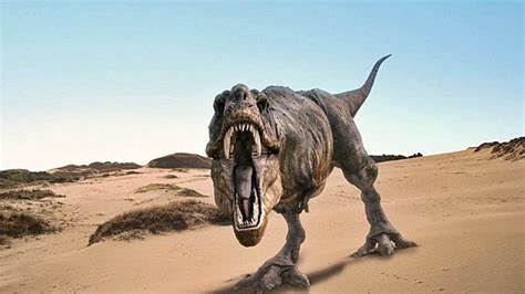 5 curiosidades sobre el Tiranosaurio Rex que no conocías